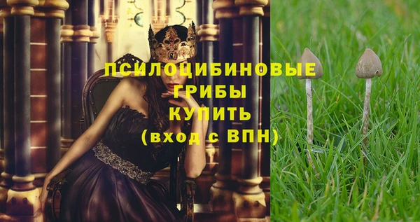 a pvp Алзамай