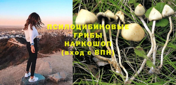 скорость Алексин