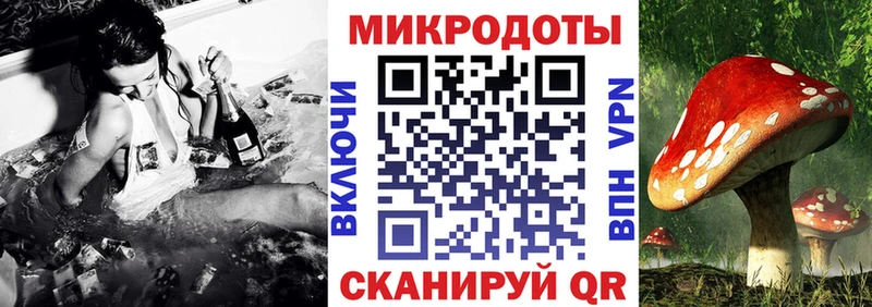 блэк спрут   Кинель  Галлюциногенные грибы ЛСД 