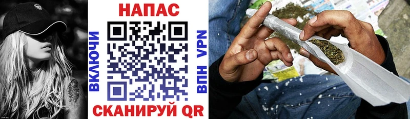 Канабис индика  Кинель 